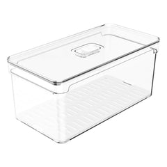 Organizador 5L Clear Com Tampa 30x15x13cm